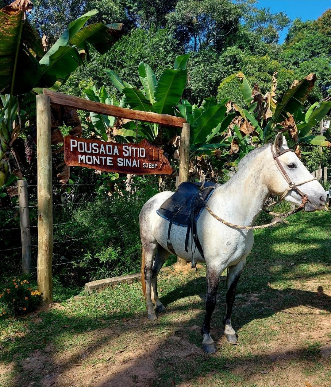 Pousada Sitio Monte Sinai São José do Barreiro 외부 사진